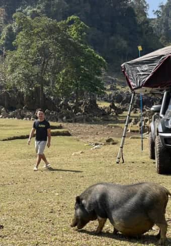 Viajero en un campamento con tienda de techo conociendo a un cerdo local mientras acampa libremente en Vietnam